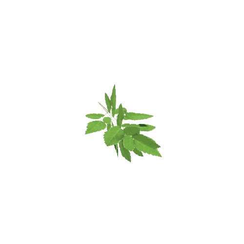 Plant00 Variant